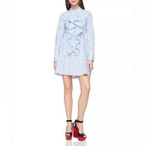 BCBGMAXAZRIA Chelsea Ruffle shirt dress